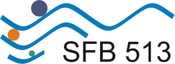SFB 513